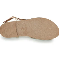 Les Tropéziennes par M Belarbi - CHOU Doré Hot