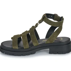 Les Tropéziennes par M Belarbi - TOBOSUED