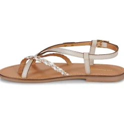 Les Tropéziennes par M Belarbi - CHOU Online