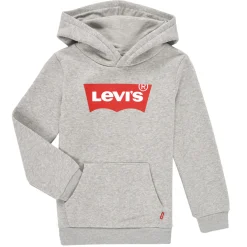 Sale Levi's - BATWING SCREENPRINT HOODIE Gris
