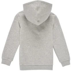 Sale Levi's - BATWING SCREENPRINT HOODIE Gris
