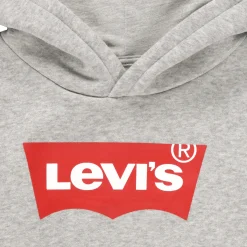 Levi's - BATWING SCREENPRINT HOODIE Gris New