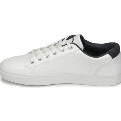 Clearance Levi's - COURTRIGHT