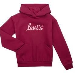 Levi's - LVG POSTER LOGO HOODIE