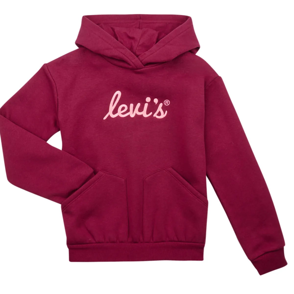 Levi's - LVG POSTER LOGO HOODIE