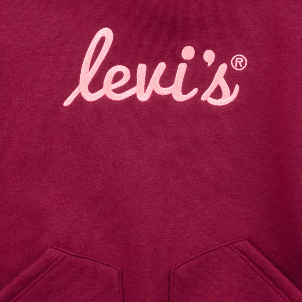 Levi's - LVG POSTER LOGO HOODIE