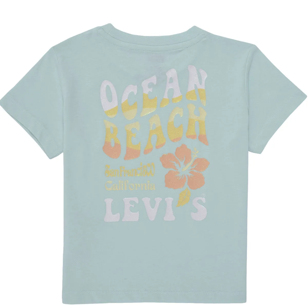 Levi's - OCEAN BEACH SS TEE
