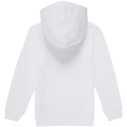 Clearance Levi's - PALM BATWING FILL HOODIE