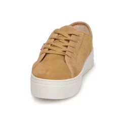 Hot Levi's - TIJUANA Marron