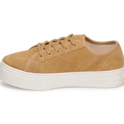 Hot Levi's - TIJUANA Marron