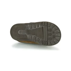 Little Mary - COQUIN