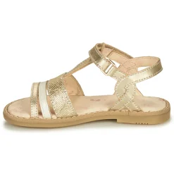 Little Mary - DAVINA