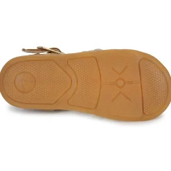 Little Mary - LIETTE