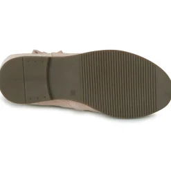 Little Mary - NYMPHEA Rose