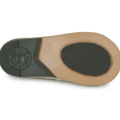 Clearance Little Mary - PIVOINE Rose