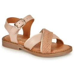 Clearance Little Mary - REVERIE Rose