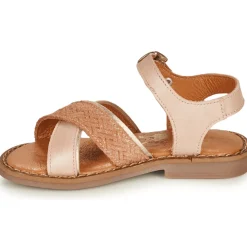 Clearance Little Mary - REVERIE Rose