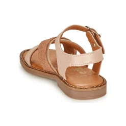 Clearance Little Mary - REVERIE Rose