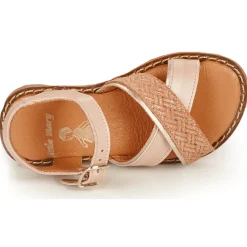 Clearance Little Mary - REVERIE Rose