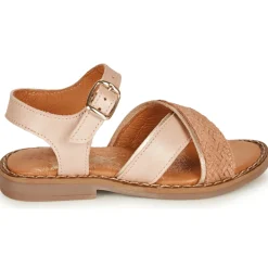 Little Mary - REVERIE Rose