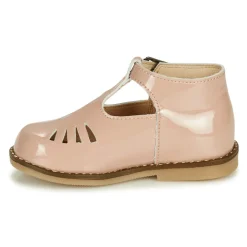 Little Mary - SURPRISE Rose Clearance