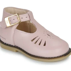 Discount Little Mary - SURPRISE Rose