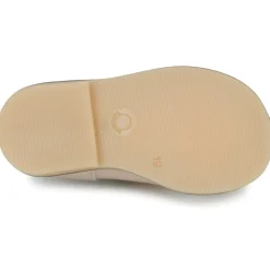 Little Mary - SURPRISE Rose Sale