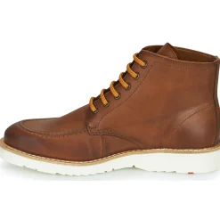 Best Lloyd - DEBAR Marron