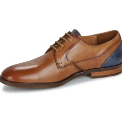 Lloyd - DOMINO Cognac