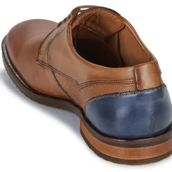 Lloyd - DOMINO Cognac