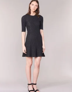 Loreak Mendian - ZENIT