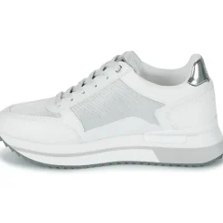 Lumberjack - CECILIA