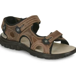 Lumberjack - VITO Marron Clearance