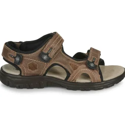 Lumberjack - VITO Marron Clearance