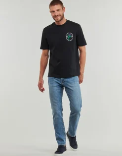 New Lyle & Scott - TS2105V Noir