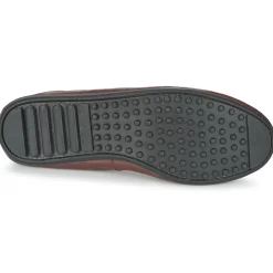 New Mac Douglas - ELIANE Marron