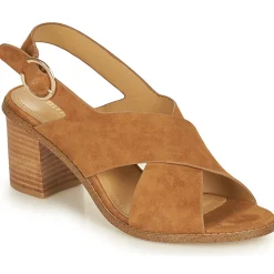 Hot Maison Minelli - CASIMIERA Marron