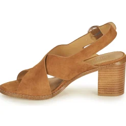 Hot Maison Minelli - CASIMIERA Marron