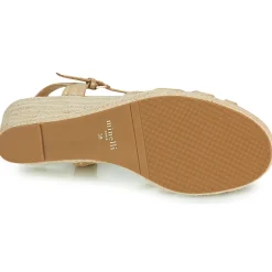 Maison Minelli - TERENSSE