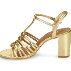 Maison Minelli - THERENA Doré Best