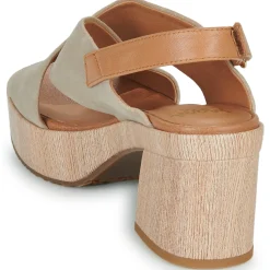 Mam'Zelle - WILIA Online