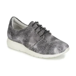 Maruti - WING Marron Best