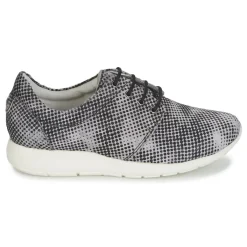 Maruti - WING Marron Best