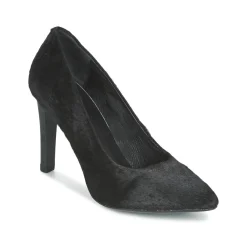 Maruti - ZAMBA Noir New