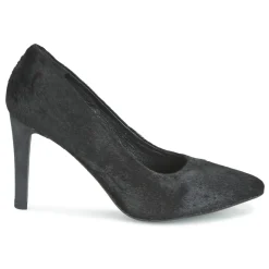 Maruti - ZAMBA Noir New