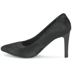 Maruti - ZAMBA Noir New