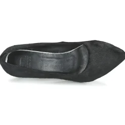 Maruti - ZAMBA Noir New