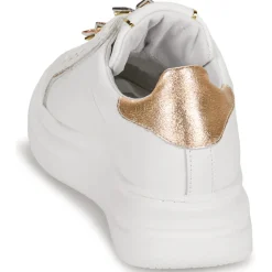 Best Meline - 607ACC-BI-E619