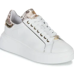 Online Meline - 608ACC-LO-E883