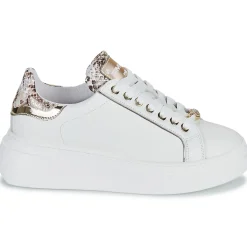 Online Meline - 608ACC-LO-E883